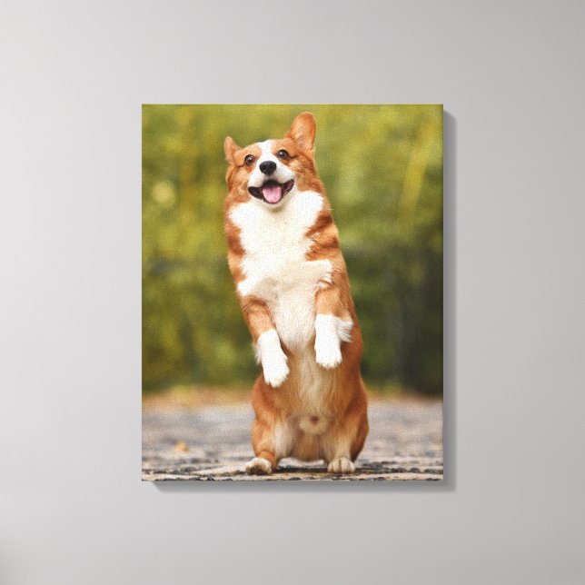 Happy Corgi Puppy Standing Photo Canvastryck (Framsida)