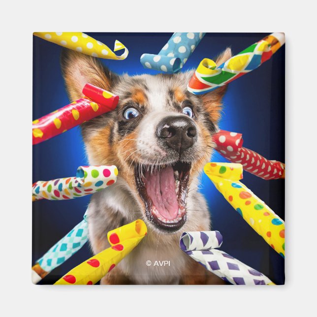 Happy Dog Party Blowers Magnet (Framsidan)