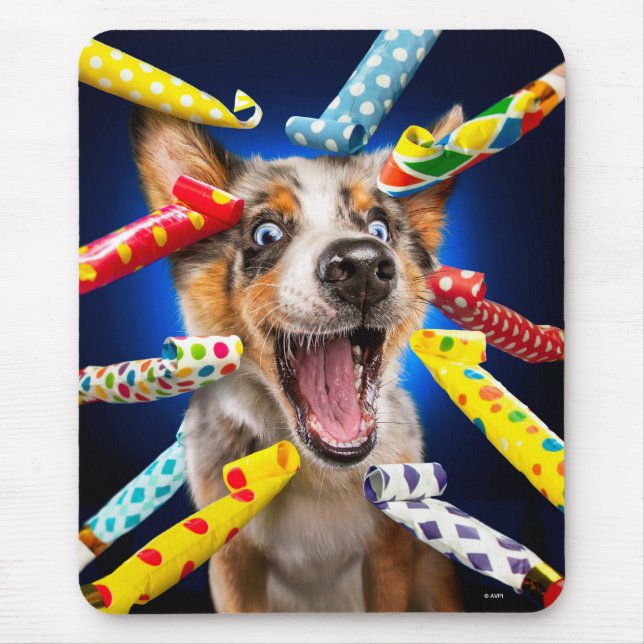 Happy Dog Party Blowers Musmatta (Framsidan)