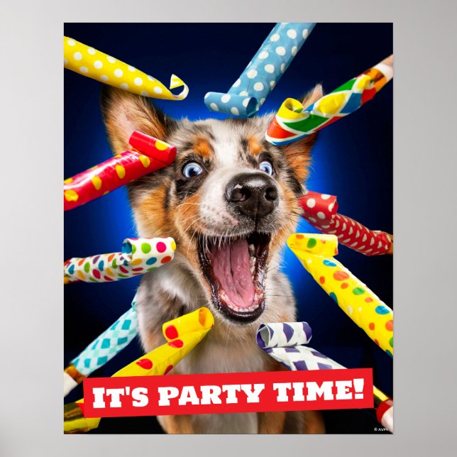 Happy Dog Party Blowers Poster (Framsidan)