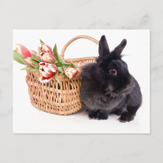 Happy Easter Helg Vykort (Framsida)