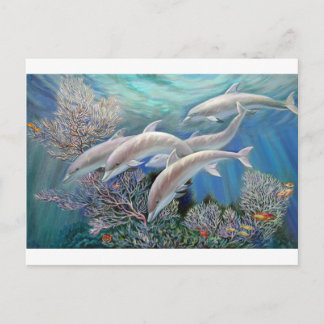Happy_Family_-_Dolphins_Are_Awesome.JPG Vykort