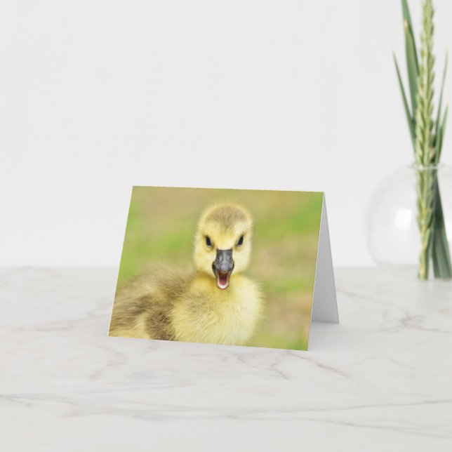 Happy Gosling (Canada Goose #2) - Blank Note Card Tack Kort (Framsida)
