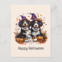 Happy halloween Bernese Mountain Hundar