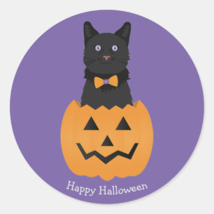 Happy halloween Black Cat Pumpkin Runt Klistermärke
