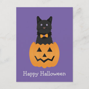 Happy halloween Black Cat Pumpkin Vykort