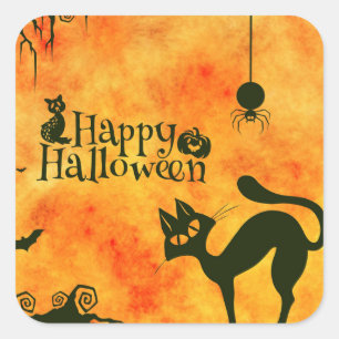 happy halloween Black cat, uggla, pumpor Fyrkantigt Klistermärke