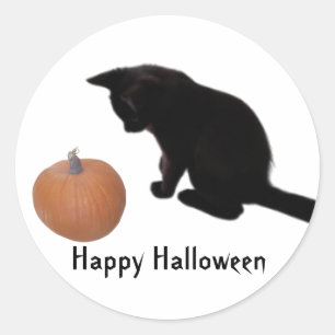 Happy halloween Black Kitten och Orange Pumpkin Runt Klistermärke
