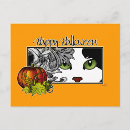 Happy halloween Black 'n White Cat Vykort