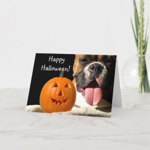 Happy halloween Boxer-hälsningskort Kort