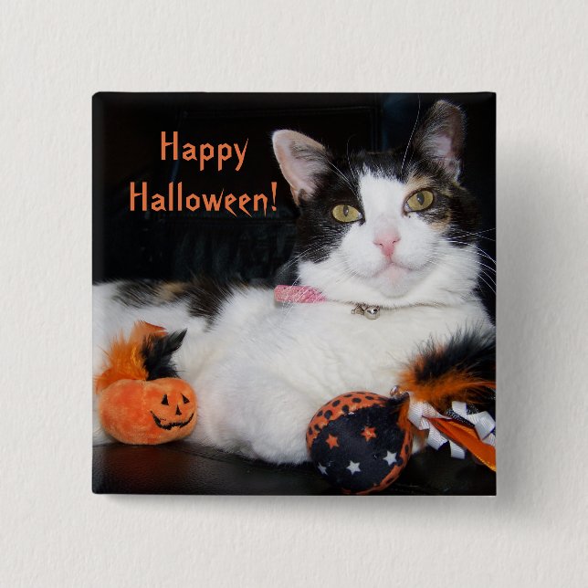 Happy halloween Cat Calico Kattunge med Pumpkin Knapp (Framsida)
