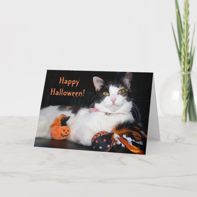 Happy halloween Cat Calico Kattunge med Pumpkin Kort (Framsida)