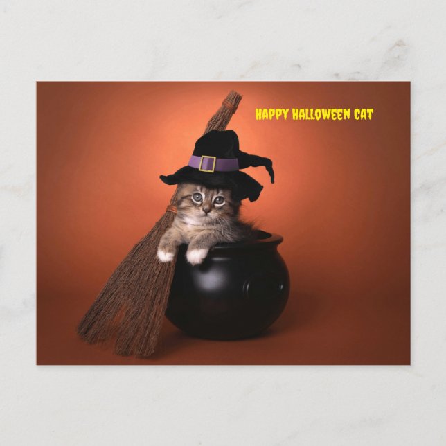 Happy halloween Cat Helg Vykort (Framsida)