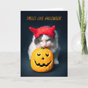 Happy halloween Cat i Costume Sniffing Pumpkin Helgkort
