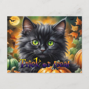 Happy halloween Cat med pumpa Helg Vykort