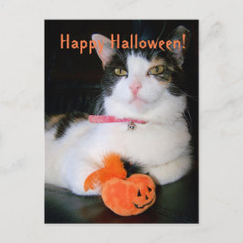 Happy halloween Cat med Pumpkin Helg Vykort