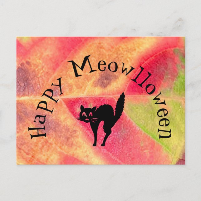 Happy Halloween Cat Meow Postcard Vykort (Framsida)