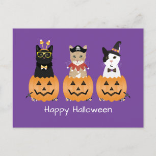 Happy halloween Cats Jack o lantern Helg Vykort