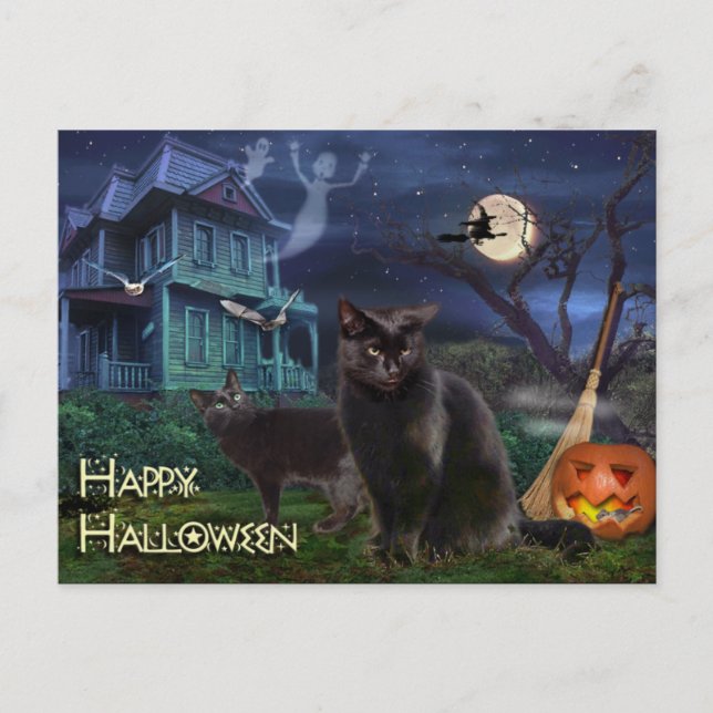 Happy halloween Cats Vykort (Framsida)