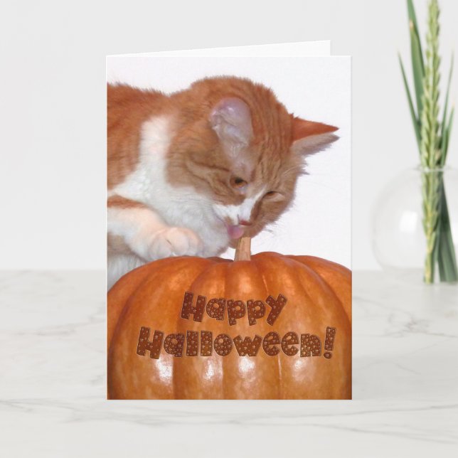 Happy halloween Cute Cat med Pumpkin Kort (Framsida)
