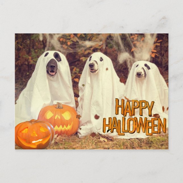Happy halloween Cute Hundar i Ghost Costumes Helg Vykort (Framsida)