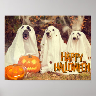 Happy halloween Cute Hundar i Ghost Costumes Poster