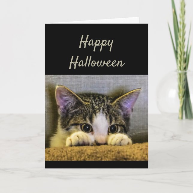 Happy halloween Cute Skrämt Kitten Funny Kort (Framsida)