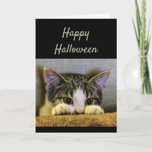 happy halloween Cute Skrämt Kitten Funny Kort
