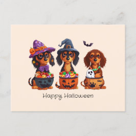 Happy halloween Dachshund Hundar Vykort