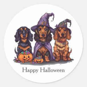 Happy halloween Dachshund Witch Hundar Runt Klistermärke