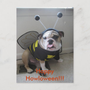 Happy halloween engelsk bulldogg helg vykort