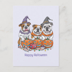 Happy halloween English Bulldog Pumpkin Vykort