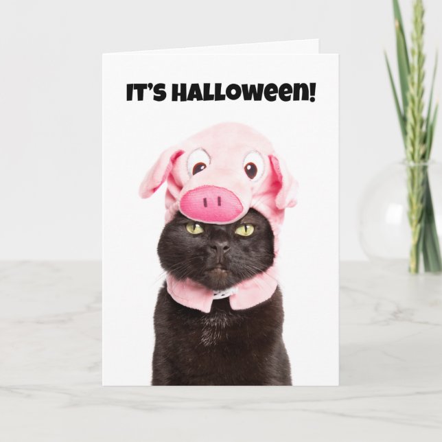 Happy halloween för alla katter i Gris Cosutme  Helgkort (Framsida)