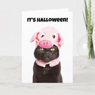 Happy halloween för alla katter i Gris Cosutme Helgkort