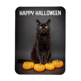 Happy halloween för alla Svarta katter med Pumpkin Magnet