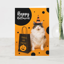 Happy Halloween For Anyone Cute Cat in Witch Hat Helgkort