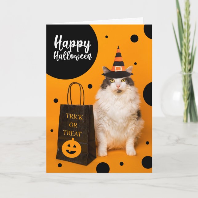 Happy Halloween For Anyone Cute Cat in Witch Hat  Helgkort (Framsida)
