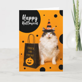 Happy Halloween For Anyone Cute Cat in Witch Hat Helgkort
