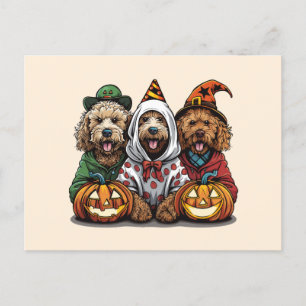 Happy halloween Goldendoodle Hundar Vykort