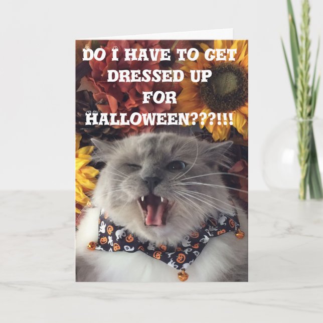 Happy halloween/Grumpy kattkort Kort (Framsida)