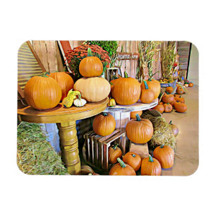 Happy halloween Höst Visning Pumpkins Magnet