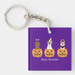 Happy halloween Hundar i pumpor
