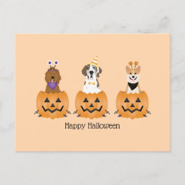 Happy halloween Hundar i pumpor Vykort