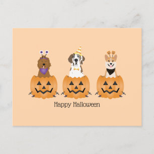 Happy halloween Hundar i pumpor Vykort