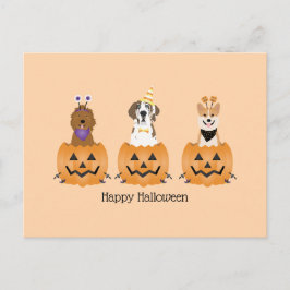 Happy halloween Hundar i pumpor Vykort