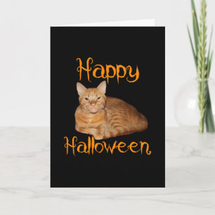 Happy halloween, icke-Scary Orange Tabby katt Kort