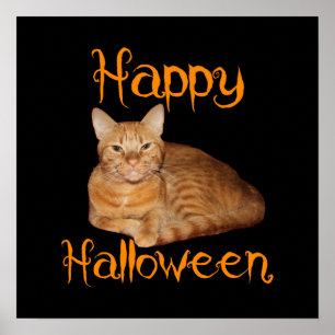 Happy halloween, icke-Scary Orange Tabby katt Poster