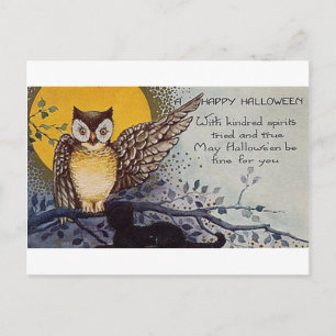 Happy halloween Kindred Spirits Vykort