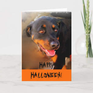 HAPPY HALLOWEEN! KORT