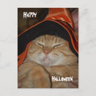 happy halloween-kort vykort